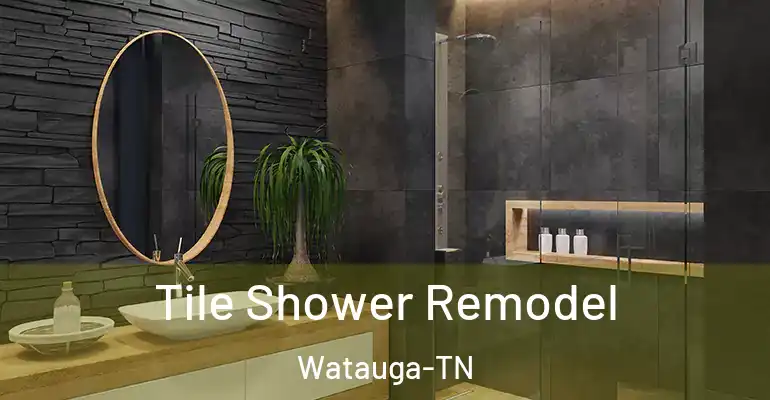 inner Bathroom imggen Tile Shower Remodel Watauga-TN