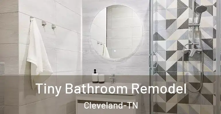 inner Bathroom imggen Tiny Bathroom Remodel Cleveland-TN