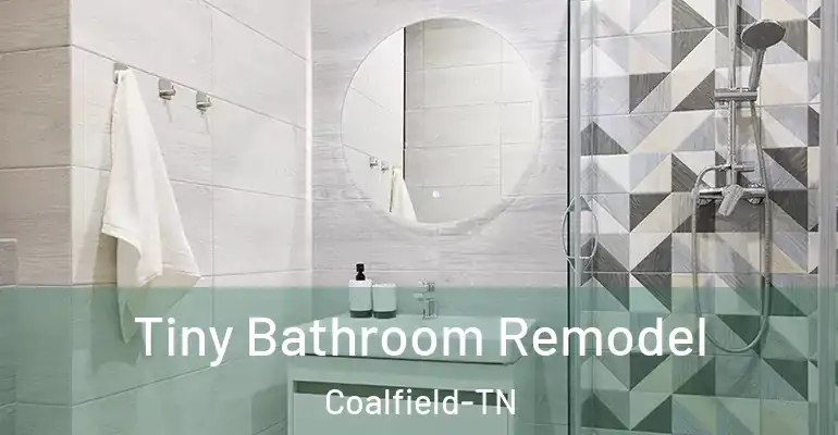 inner Bathroom imggen Tiny Bathroom Remodel Coalfield-TN