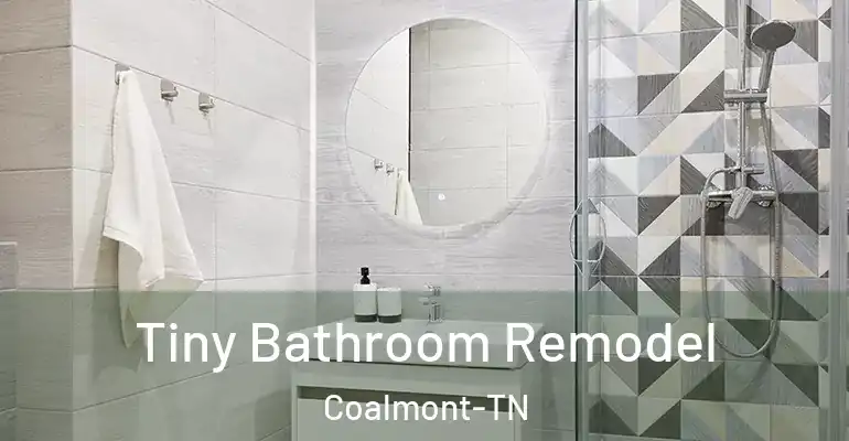 inner Bathroom imggen Tiny Bathroom Remodel Coalmont-TN