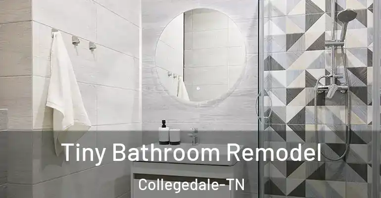 inner Bathroom imggen Tiny Bathroom Remodel Collegedale-TN