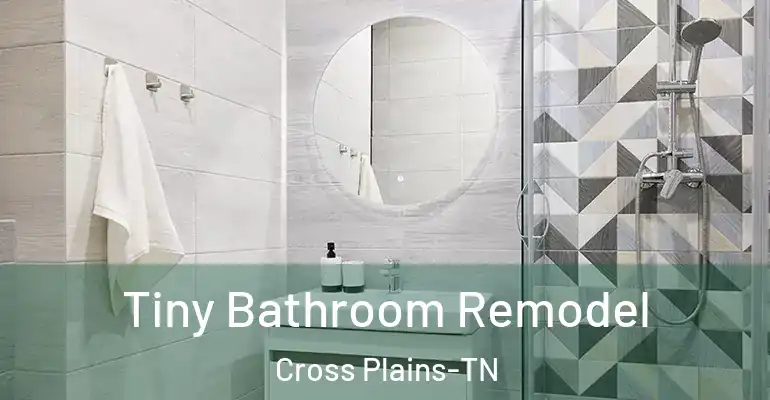 inner Bathroom imggen Tiny Bathroom Remodel Cross Plains-TN