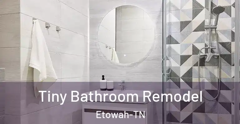 inner Bathroom imggen Tiny Bathroom Remodel Etowah-TN