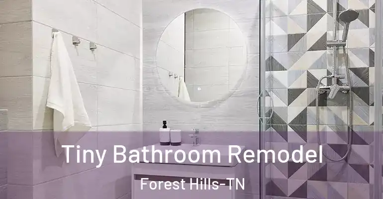 inner Bathroom imggen Tiny Bathroom Remodel Forest Hills-TN