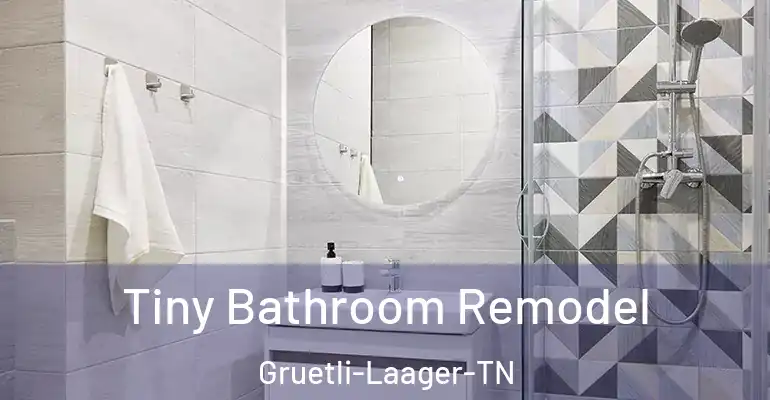 inner Bathroom imggen Tiny Bathroom Remodel Gruetli-Laager-TN