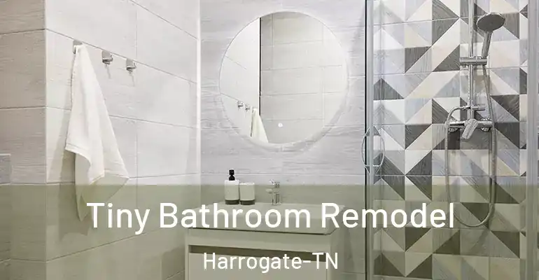 inner Bathroom imggen Tiny Bathroom Remodel Harrogate-TN