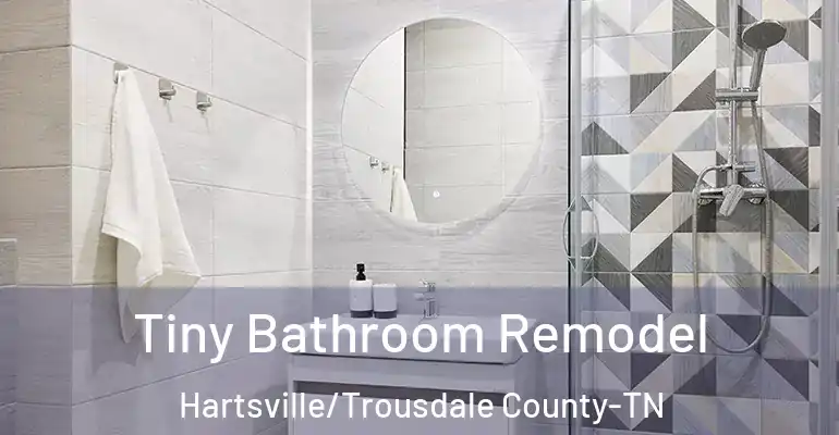 inner Bathroom imggen Tiny Bathroom Remodel Hartsville/Trousdale County-TN