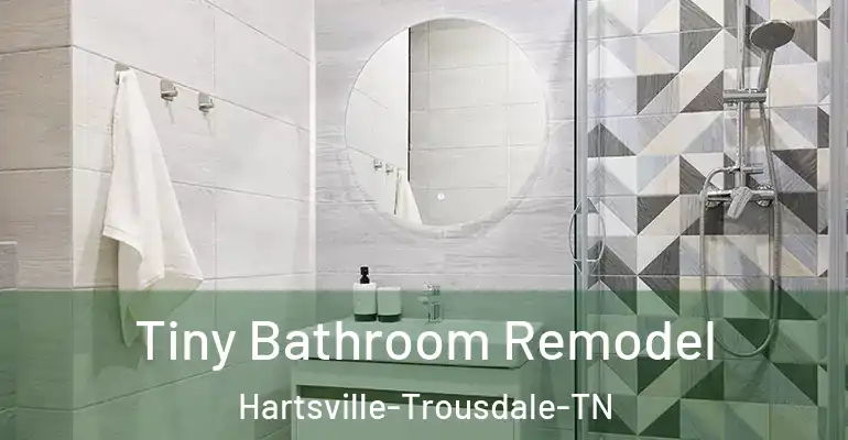 inner Bathroom imggen Tiny Bathroom Remodel Hartsville-Trousdale-TN