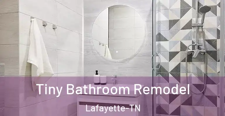 inner Bathroom imggen Tiny Bathroom Remodel Lafayette-TN