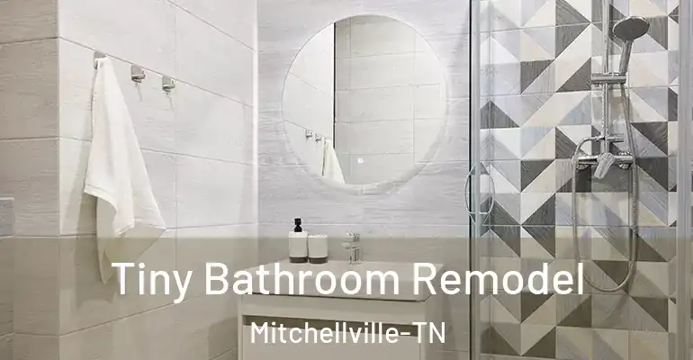 inner Bathroom imggen Tiny Bathroom Remodel Mitchellville-TN