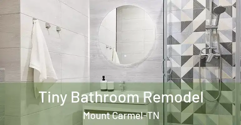 inner Bathroom imggen Tiny Bathroom Remodel Mount Carmel-TN