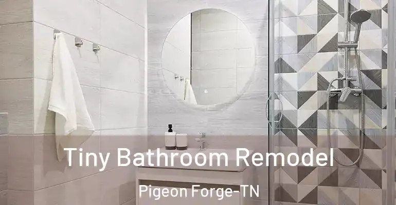 inner Bathroom imggen Tiny Bathroom Remodel Pigeon Forge-TN