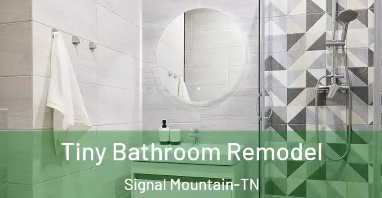 inner Bathroom imggen Tiny Bathroom Remodel Signal Mountain-TN
