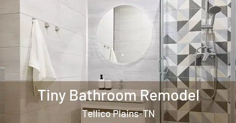 inner Bathroom imggen Tiny Bathroom Remodel Tellico Plains-TN