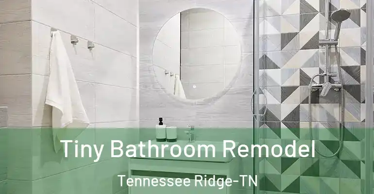 inner Bathroom imggen Tiny Bathroom Remodel Tennessee Ridge-TN