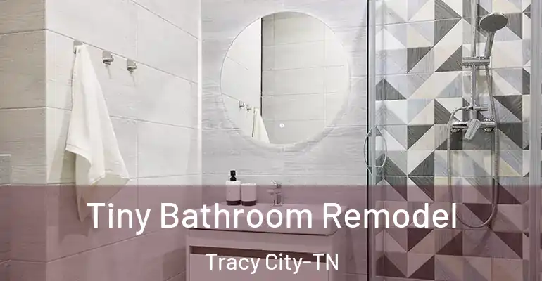 inner Bathroom imggen Tiny Bathroom Remodel Tracy City-TN