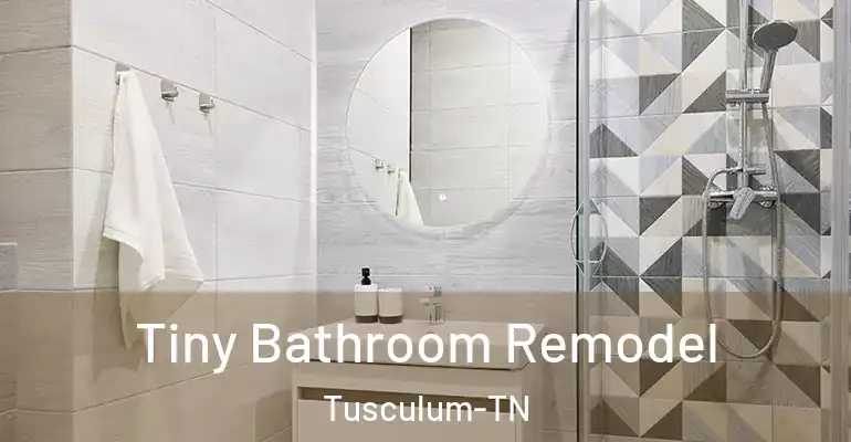 inner Bathroom imggen Tiny Bathroom Remodel Tusculum-TN