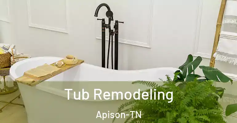 inner Bathroom imggen Tub Remodeling Apison-TN