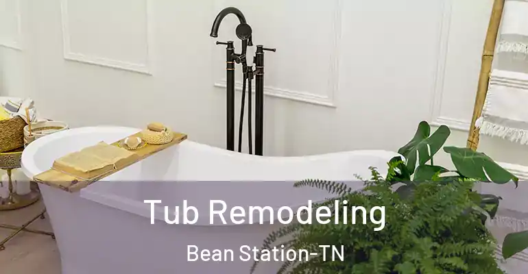 inner Bathroom imggen Tub Remodeling Bean Station-TN