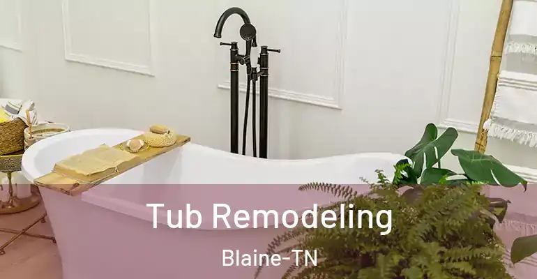 inner Bathroom imggen Tub Remodeling Blaine-TN