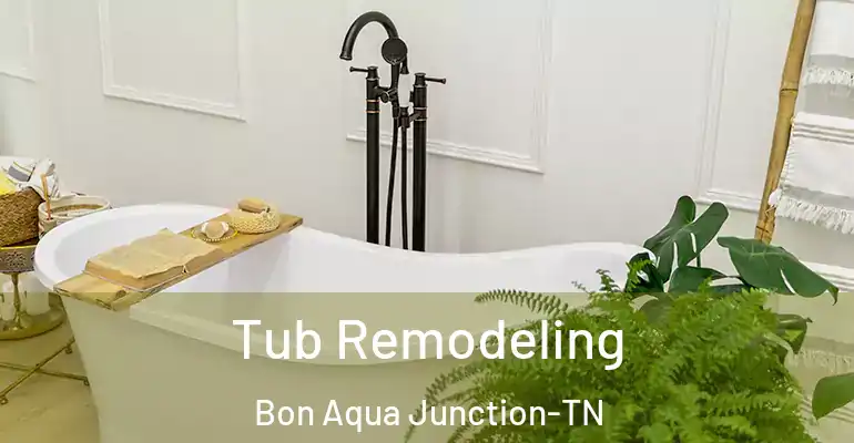 inner Bathroom imggen Tub Remodeling Bon Aqua Junction-TN