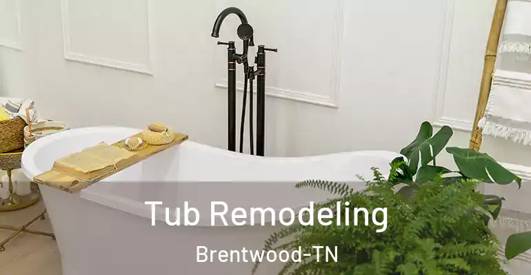 inner Bathroom imggen Tub Remodeling Brentwood-TN