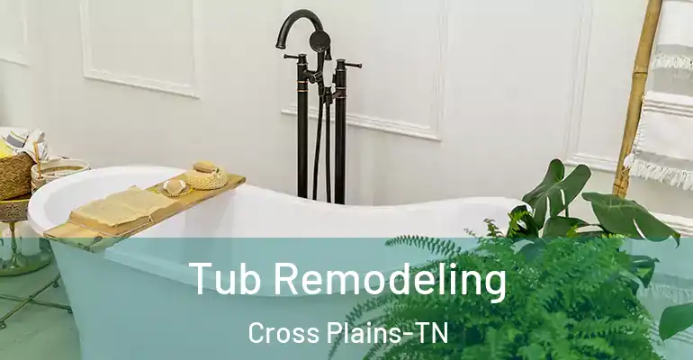 inner Bathroom imggen Tub Remodeling Cross Plains-TN