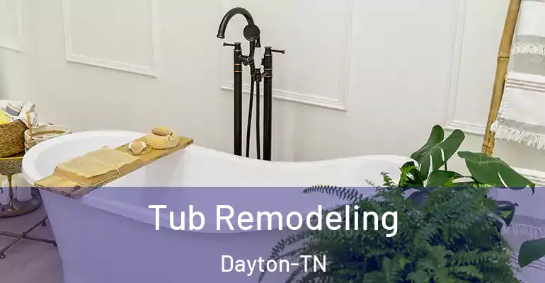 inner Bathroom imggen Tub Remodeling Dayton-TN