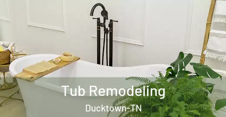 inner Bathroom imggen Tub Remodeling Ducktown-TN