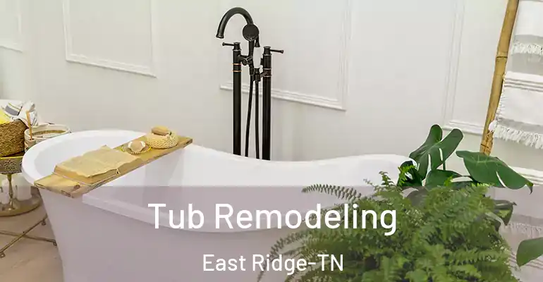 inner Bathroom imggen Tub Remodeling East Ridge-TN