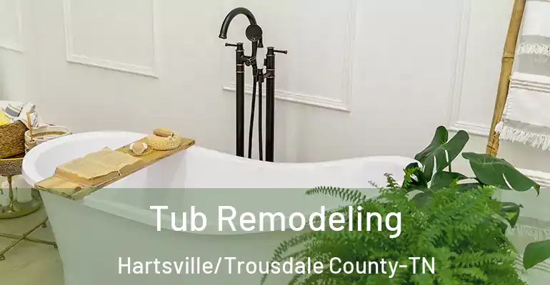 inner Bathroom imggen Tub Remodeling Hartsville/Trousdale County-TN