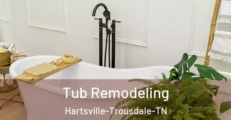 inner Bathroom imggen Tub Remodeling Hartsville-Trousdale-TN