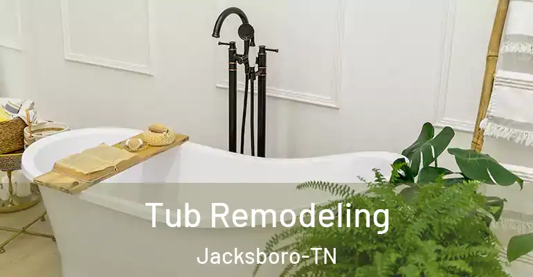 inner Bathroom imggen Tub Remodeling Jacksboro-TN