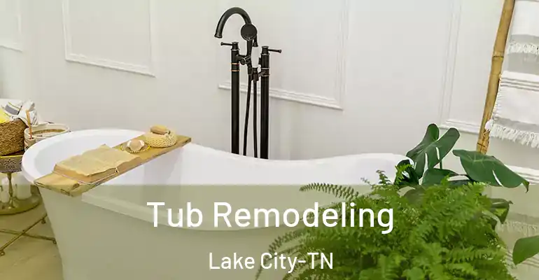 inner Bathroom imggen Tub Remodeling Lake City-TN