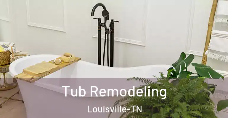 inner Bathroom imggen Tub Remodeling Louisville-TN