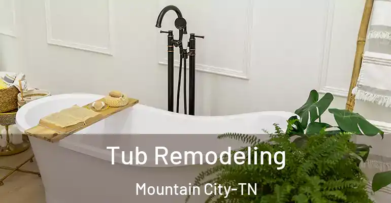 inner Bathroom imggen Tub Remodeling Mountain City-TN