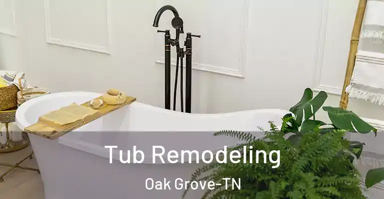 inner Bathroom imggen Tub Remodeling Oak Grove-TN