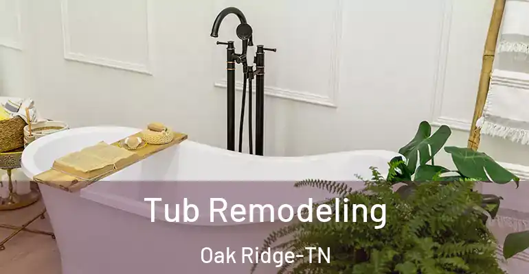 inner Bathroom imggen Tub Remodeling Oak Ridge-TN