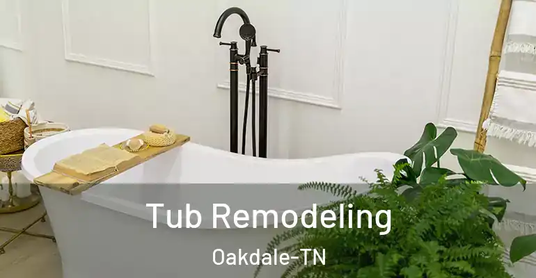 inner Bathroom imggen Tub Remodeling Oakdale-TN