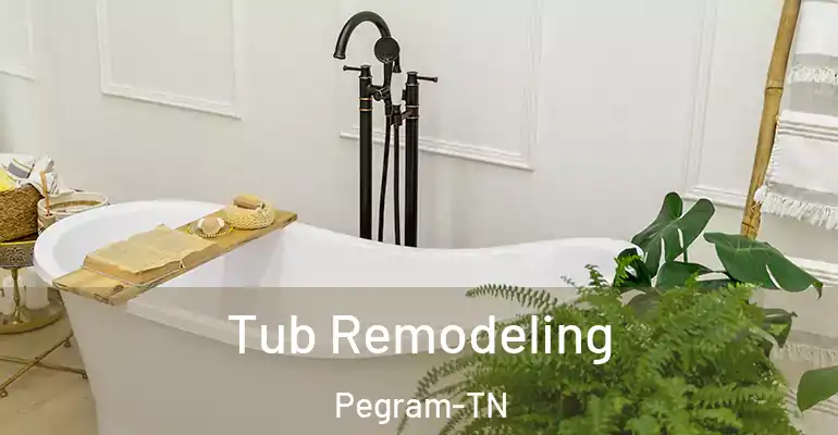 inner Bathroom imggen Tub Remodeling Pegram-TN