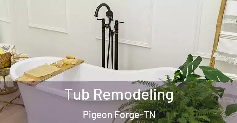inner Bathroom imggen Tub Remodeling Pigeon Forge-TN
