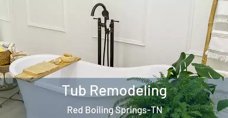inner Bathroom imggen Tub Remodeling Red Boiling Springs-TN