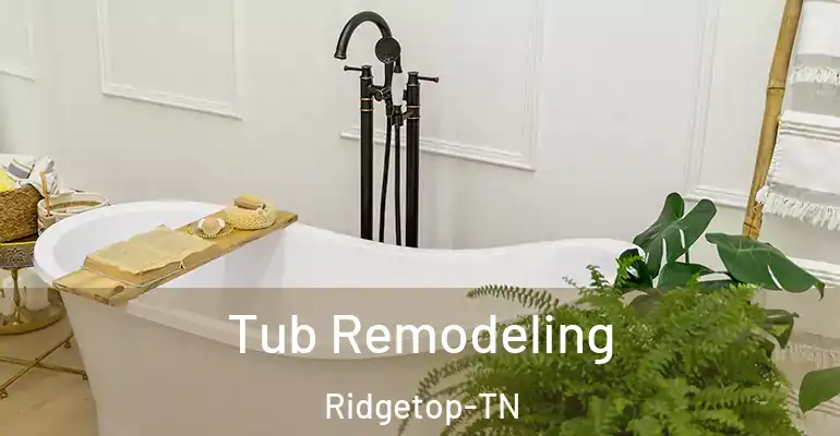 inner Bathroom imggen Tub Remodeling Ridgetop-TN