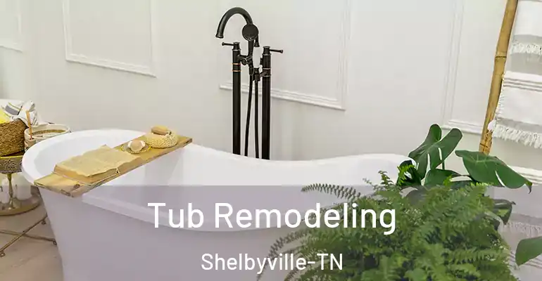 inner Bathroom imggen Tub Remodeling Shelbyville-TN
