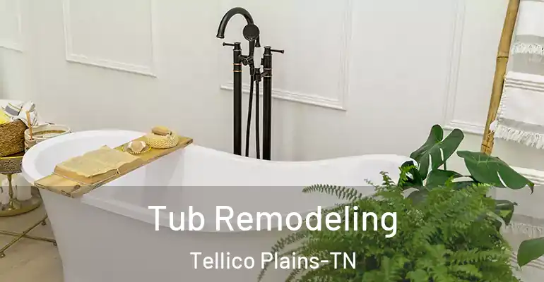inner Bathroom imggen Tub Remodeling Tellico Plains-TN