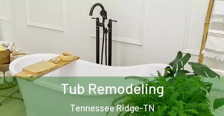 inner Bathroom imggen Tub Remodeling Tennessee Ridge-TN