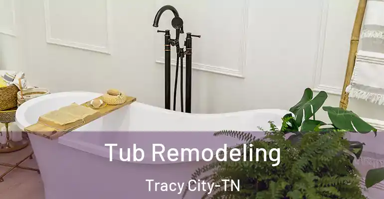 inner Bathroom imggen Tub Remodeling Tracy City-TN
