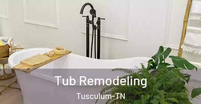 inner Bathroom imggen Tub Remodeling Tusculum-TN