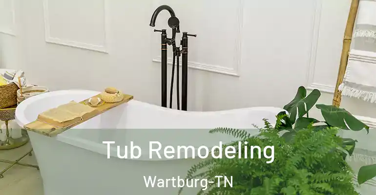 inner Bathroom imggen Tub Remodeling Wartburg-TN