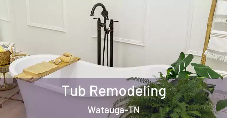 inner Bathroom imggen Tub Remodeling Watauga-TN